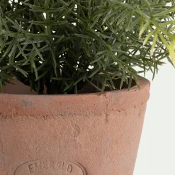 Plante Artificielle*alinea Asparagus artificiel H22,5cm - Vert