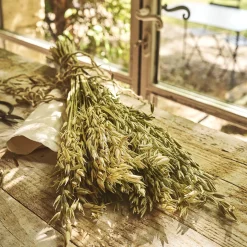 Loisirs Créatifs|Fleurs Séchées*alinea Botte d'avoine séchées 50cm - Blanc