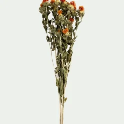 Loisirs Créatifs|Fleurs Séchées*alinea Botte de bidens séchée H55cm - Orange