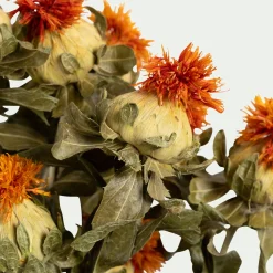 Loisirs Créatifs|Fleurs Séchées*alinea Botte de bidens séchée H55cm - Orange