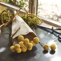 Loisirs Créatifs|Fleurs Séchées*alinea Botte de craspedia séchée H55cm - Jaune