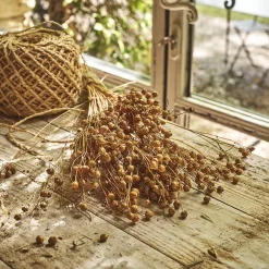 Loisirs Créatifs|Fleurs Séchées*alinea Botte de lin séché H55cm - Naturel