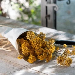 Loisirs Créatifs|Fleurs Séchées*alinea Botte de lona séchée 35cm - Jaune