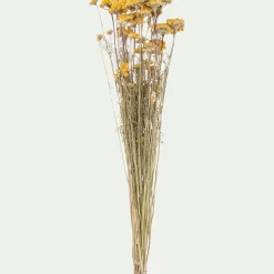 Loisirs Créatifs|Fleurs Séchées*alinea Botte de lona séchée 35cm - Jaune