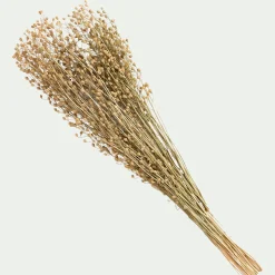 Fleurs Séchées*alinea Botte de Passerages séchées H55cm - Jaune