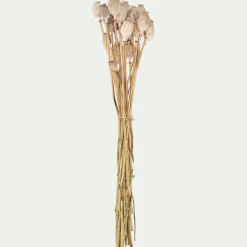 Loisirs Créatifs|Fleurs Séchées*alinea Botte de pavots séchés 50cm - Blanc
