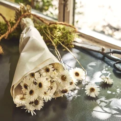 Loisirs Créatifs|Fleurs Séchées*alinea Botte de rhodantes séchées 50cm - Blanc
