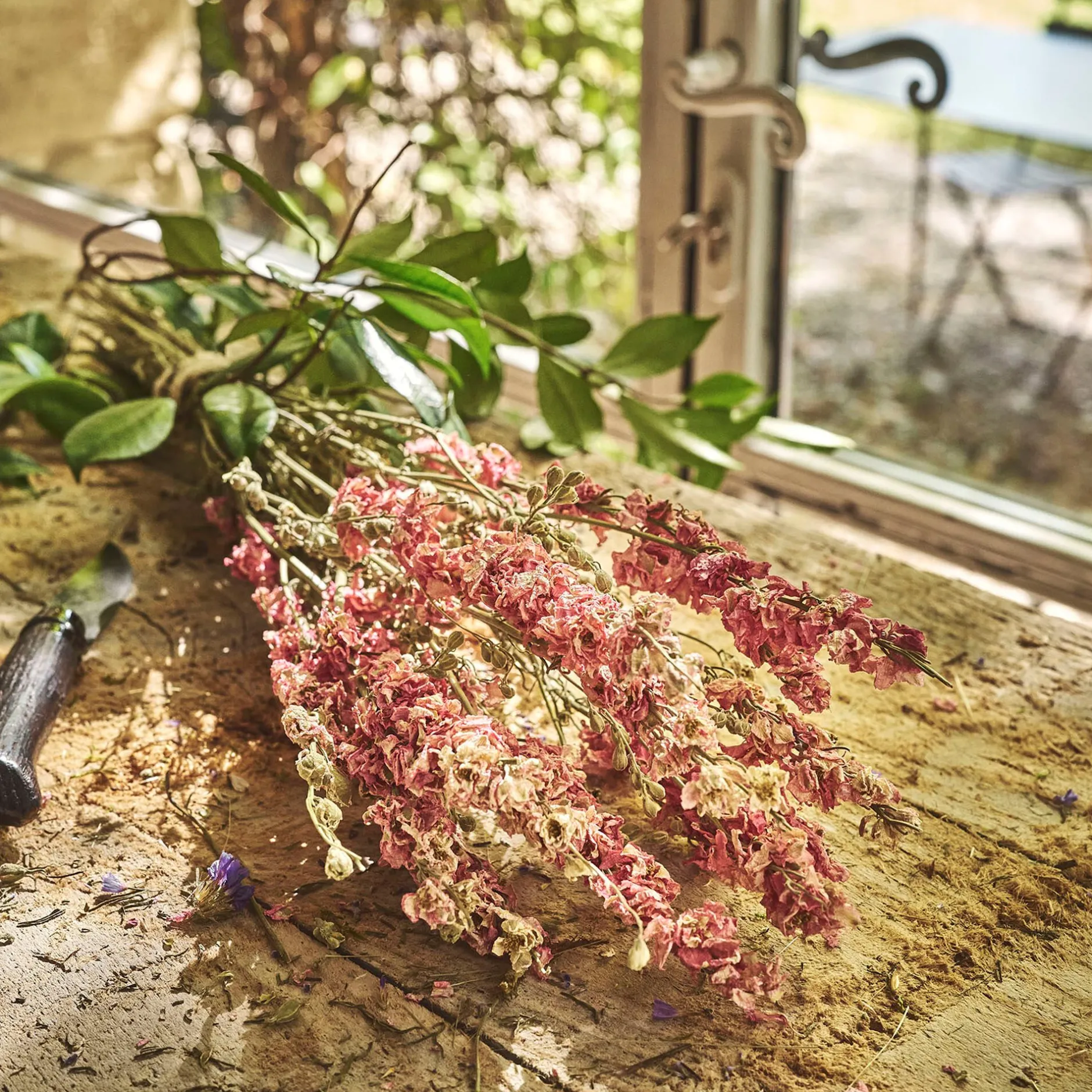 Loisirs Créatifs|Fleurs Séchées*alinea Botte de rhodantes séchées 50cm - Rose