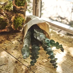 Loisirs Créatifs|Fleurs Séchées*alinea Botte d'eucalyptus préservée 55cm - Vert