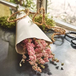 Loisirs Créatifs|Fleurs Séchées*alinea Bottes de dauphinelles séchées 55cm - Rose