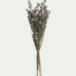 Loisirs Créatifs|Fleurs Séchées*alinea Bottes de saladelles sinuées séchées 55cm - violet