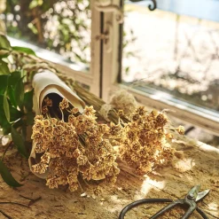 Loisirs Créatifs|Fleurs Séchées*alinea Bottes d'immortelle h55cm - Naturel