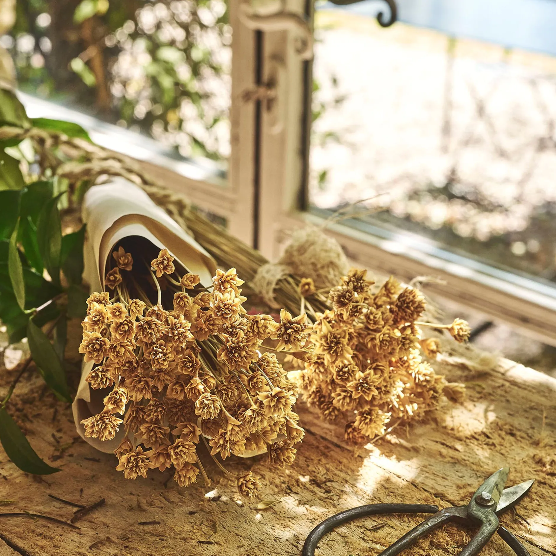 Loisirs Créatifs|Fleurs Séchées*alinea Bottes d'immortelle h55cm - Naturel