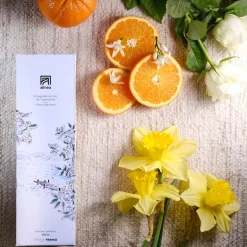 Bougie*alinea Bougie parfumée senteur Balade au Lac de Trasimène 170g