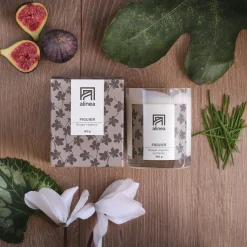 Bougie*alinea Bougie parfumée senteur Figuier 160g
