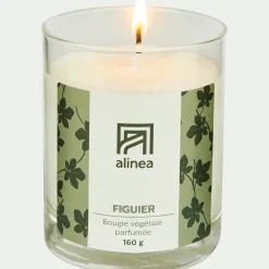 Bougie*alinea Bougie parfumée senteur Figuier 160g