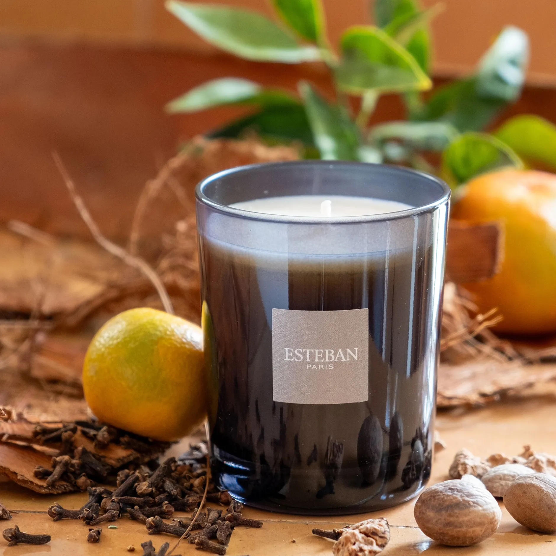 Parfum D'Ambiance|Bougie*alinea Bougie parfumée senteur Légendes d'Orient 180g