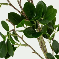 Plante Artificielle*alinea Branche artificielle de laurier - vert H70cm