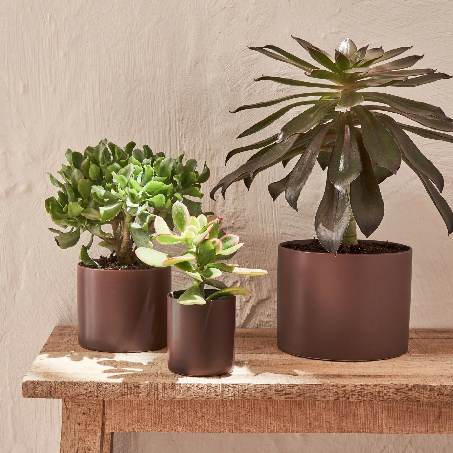 Pot De Fleur*alinea Cache-pot en céramique - brun rhassoul D14xH11cm Marron