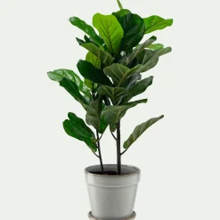 Pot De Fleur*alinea Cache-pot et sa coupelle en céramique D23cm - cassé Blanc