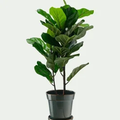 Pot De Fleur*alinea Cache-pot et sa coupelle en céramique D17cm - Vert