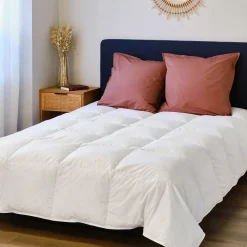 Couette*alinea Couette tempérée en duvet et plumettes de canard 260x240cm - blanc