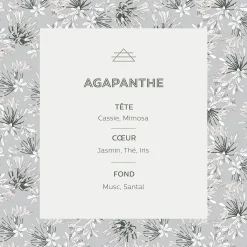 Parfum D'Ambiance*alinea Diffuseur de parfum senteur Agapanthe 100ml