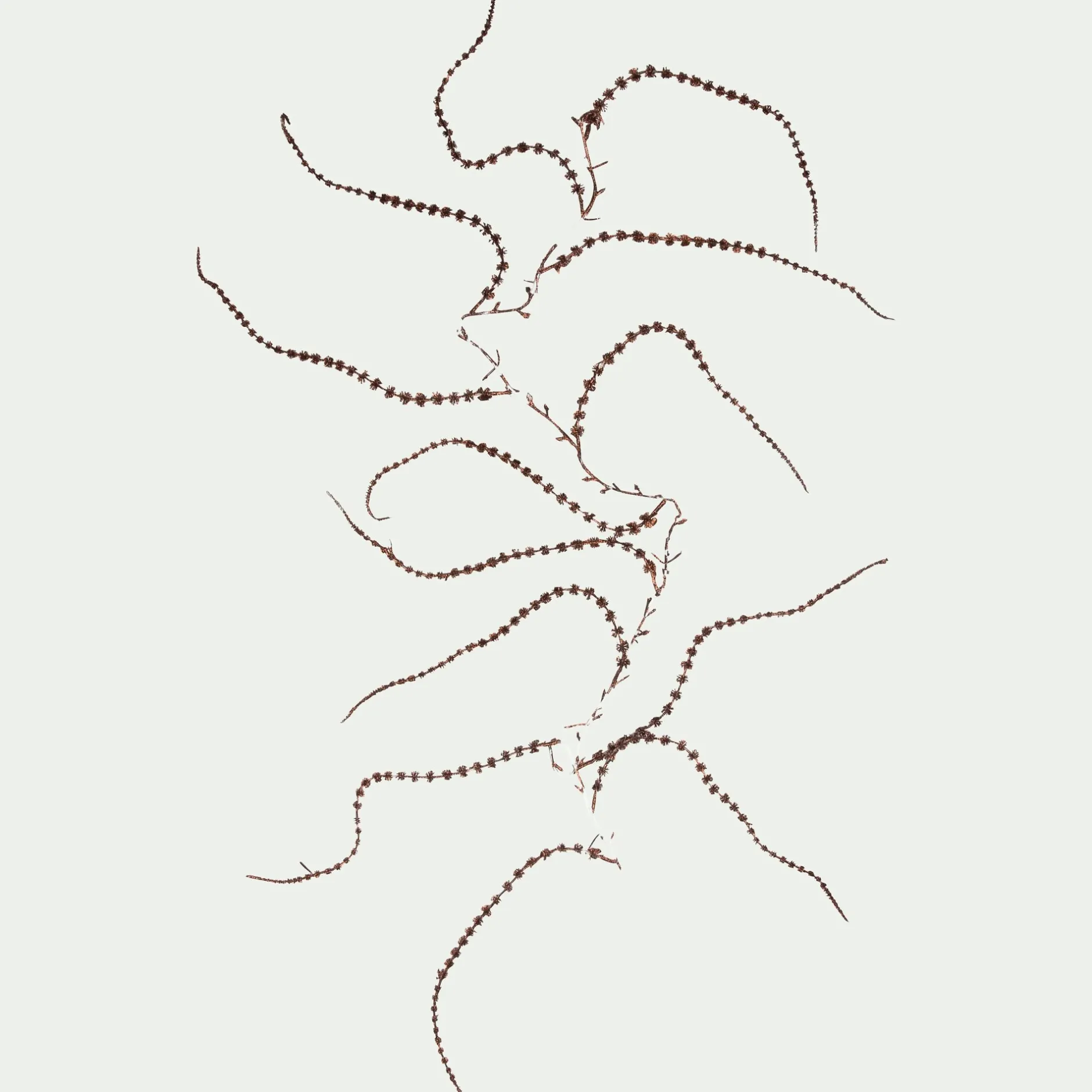 Guirlande De Noël*alinea Guirlande de noël de pin en plastique L150cm Marron