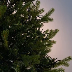 Guirlande De Noël*alinea Guirlande lumineuse grappe 5,60m - Jaune