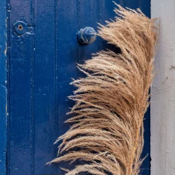 Plante Artificielle|Fleurs Séchées*alinea Herbe de pampa séchée - H160 cm Naturel