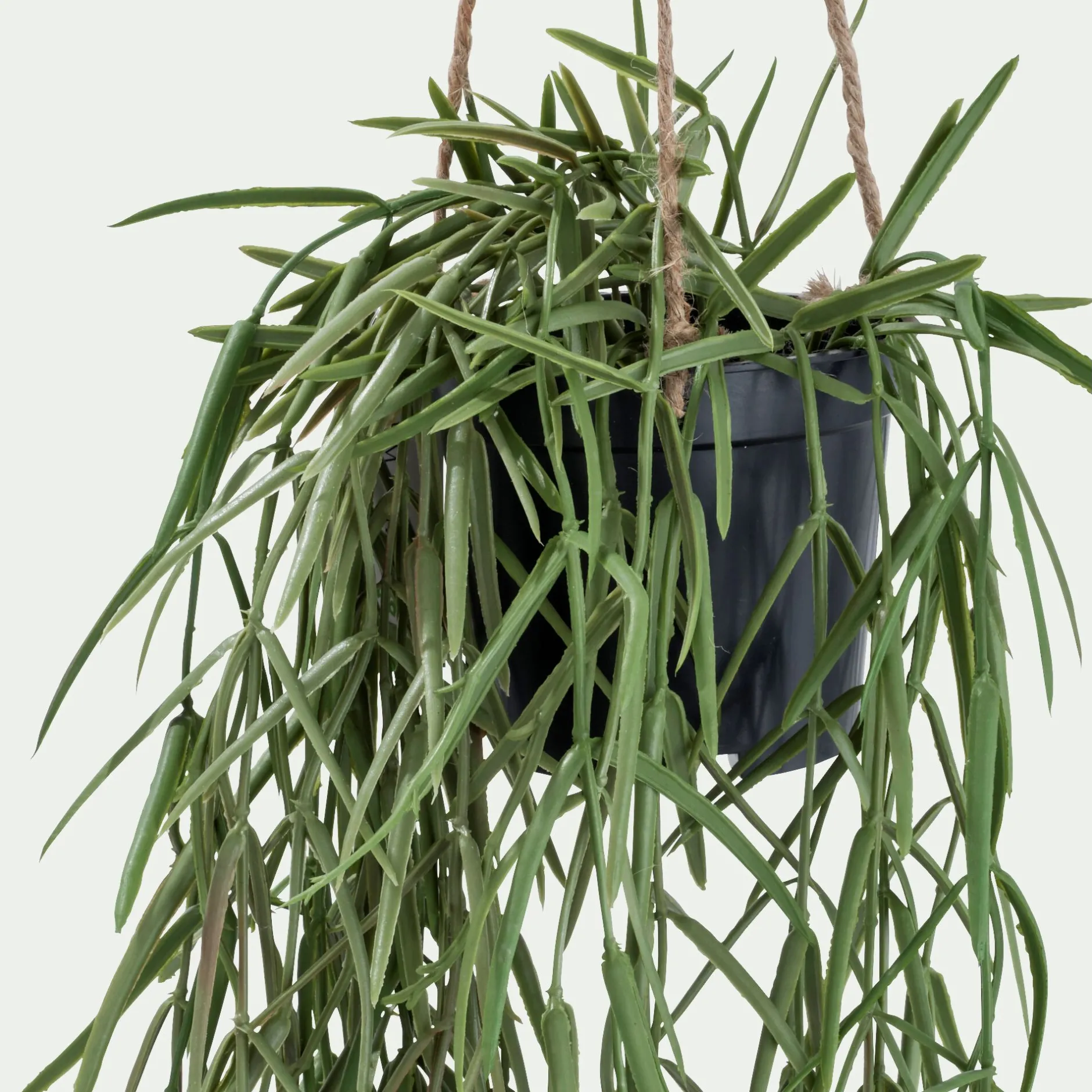 Plante Artificielle*alinea Hoya artificiel H80cm - Vert