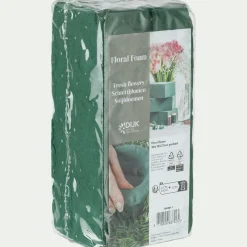 Loisirs Créatifs*alinea Mousse pour fleurs - Vert