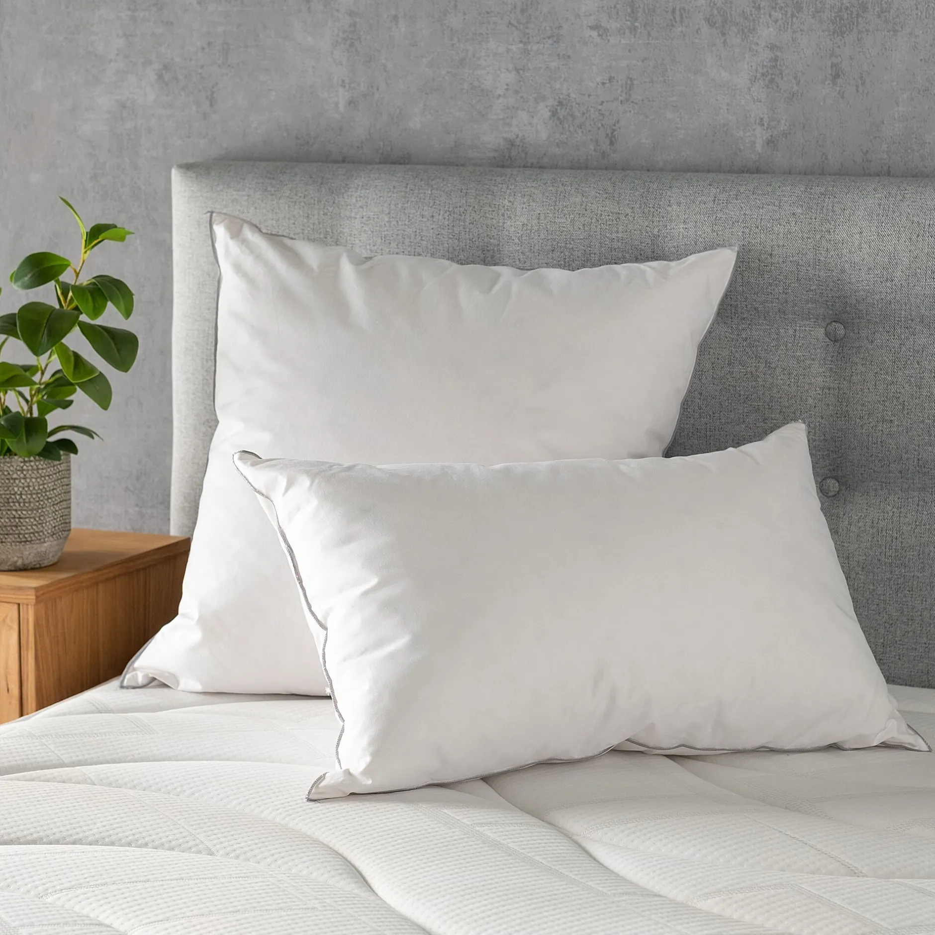 Oreiller & Traversin*alinea Oreiller ferme en plumettes de canard 65x65cm - Blanc