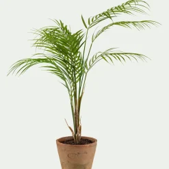 Plante Artificielle*alinea Palmier artificiel H75cm - Vert