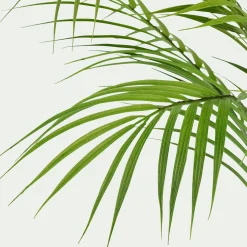 Plante Artificielle*alinea Palmier artificiel H75cm - Vert