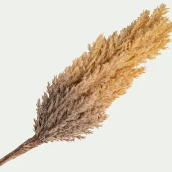 Vase Et Branchage De Noël*alinea Pampa LED électrique H70cm - beige (modèle aléatoire)