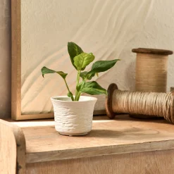 Vase*alinea Petit vase en grès strié H7,8cm - Blanc