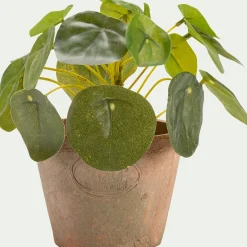 Plante Artificielle*alinea Pilea artificiel en pot H13cm - Vert