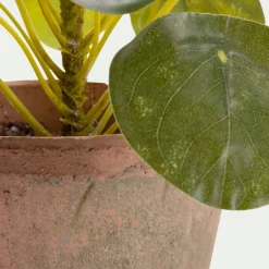 Plante Artificielle*alinea Pilea artificiel en pot H13cm - Vert