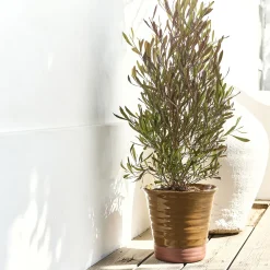 Pot De Fleur*alinea Pot bicolore en terre cuite D29cm - Jaune