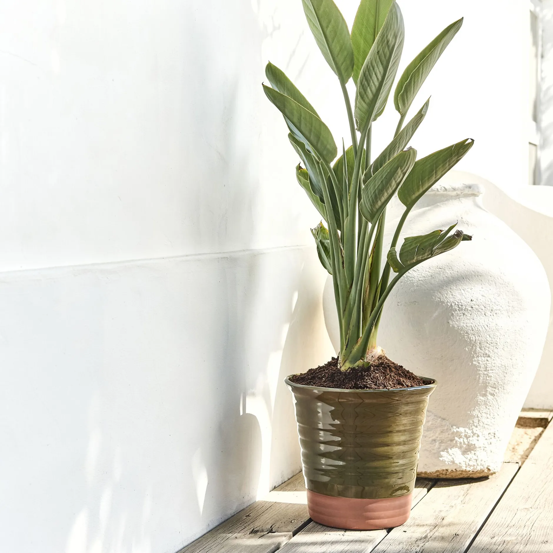 Pot De Fleur*alinea Pot bicolore en terre cuite D29cm - Vert