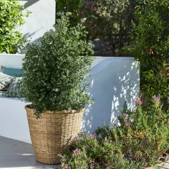 Pot De Fleur*alinea Pot en bambou D48xH46cm - Naturel