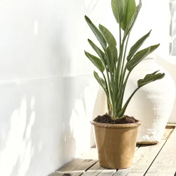 Pot De Fleur*alinea Pot en terre cuite D30cm - jaune