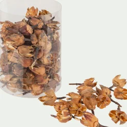 Décoration De La Table De Noël|Vase Et Branchage De Noël*alinea Pot-pourri de physalis D10xH16cm - Naturel