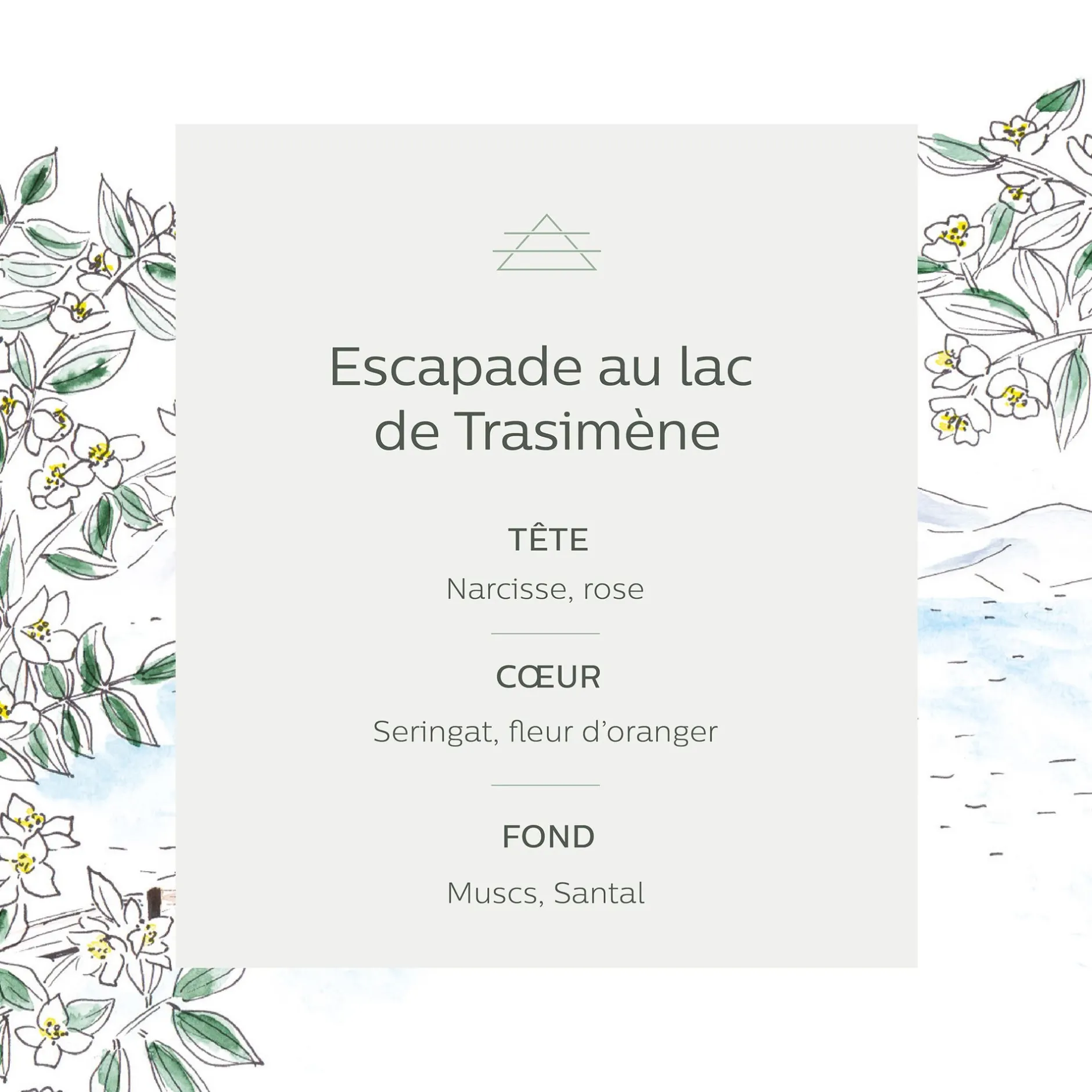 Parfum D'Ambiance*alinea Recharge pour diffuseur balade au lac de Trasimène 250ml