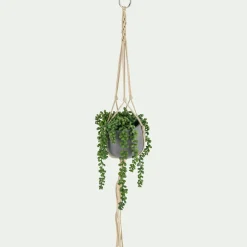 Plante Artificielle*alinea Succulente suspendue artificielle - vert H73cm