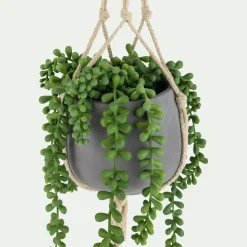 Plante Artificielle*alinea Succulente suspendue artificielle - vert H73cm