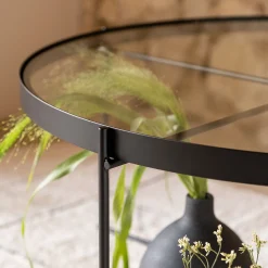 Table Basse*alinea Table basse ronde en acier et verre trempé - D72,6xH40cm Noir