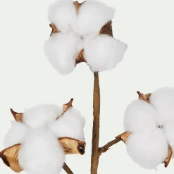 Plante Artificielle*alinea Tige artificielle de coton - H19cm Blanc