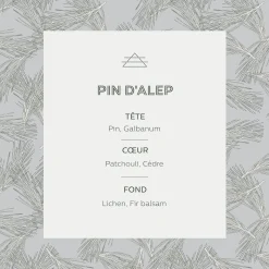 Parfum D'Ambiance*alinea Vaporisateur senteur pin d'Alep 100ml